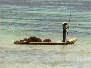 Tamarind Nusa Lembongan